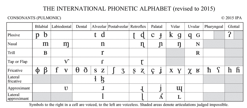 Pulmonics section of the IPA Chart, 2005